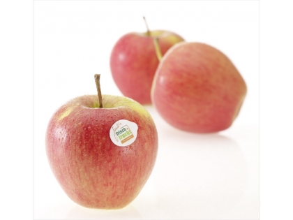 Äpfel Frisch-Frucht lose Nicoter 2,5 kg KRT DE Nicoter