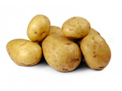 Kartoffeln festkochend lose Annabelle 25 kg SCK DE Annabelle