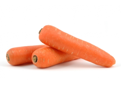 Karotten Gastro  20 kg EPGR DE