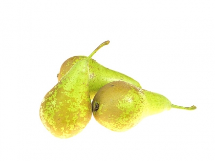 Snackbirnen lose Conference 14 kg EPGR BE Conference