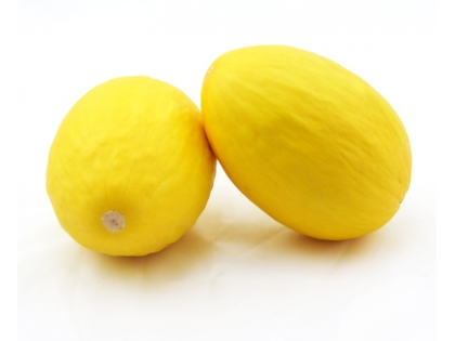 Honigmelonen Gastro  10 kg KRT BR