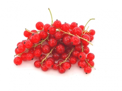 Johannisbeeren rot gepackt  10x500g SCH STG BE
