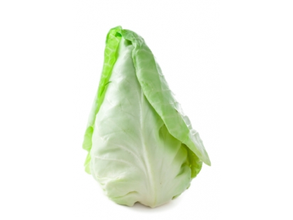 Spitzkohl Deutsch  10 kg EPGR DE