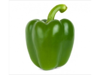 Paprika grün lose Gastro  10 kg EPGR BE