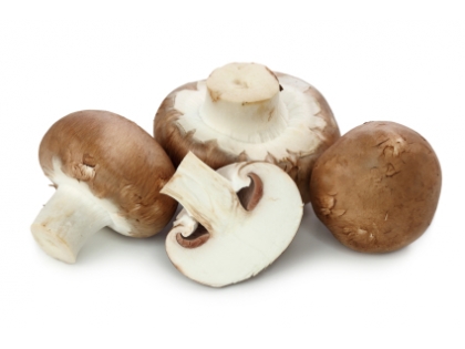 Steinchampignons div.  3 kg PLASTIK PL