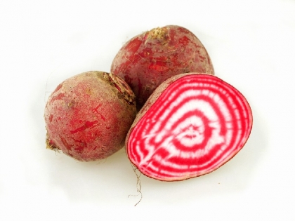 Bete div. Chioggia 5 kg EPKL DE Chioggia