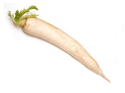 Rettich weiss  15 STK EPGR IT