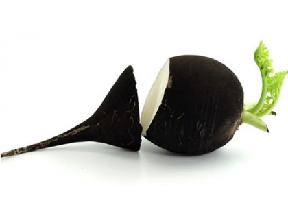 Rettich schwarz  5 kg EPKL DE