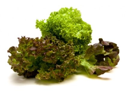 Mixsalat  9 STK EPGR FR, 9 Stück, Frankreich, Klasse I