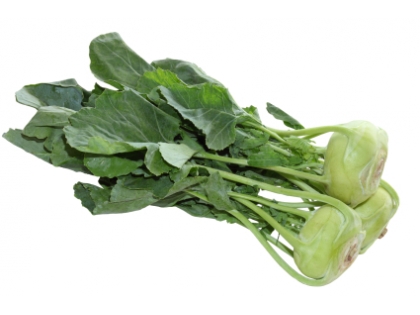 Kohlrabi  25 STK EPGR IT, 25 St, Italien