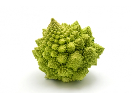 Romanesco Div.  12 STK Holzsteige FR, 12 Stück, Frankreich