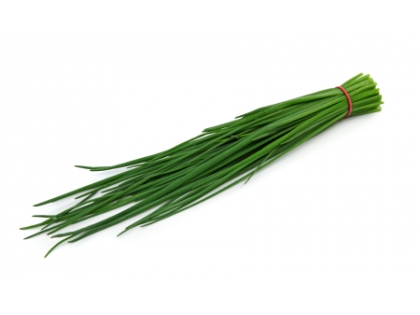 Schnittlauch Topf  BIO 6 TPF KRT DE, 6 Topf, Deutschland