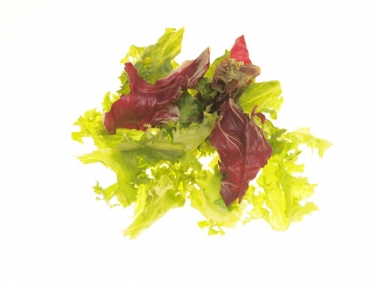 FF Salatmischung Bolero Mix 1 kg BTL DE Salatmischung Bolero Mix, 1 kg, Deutschland