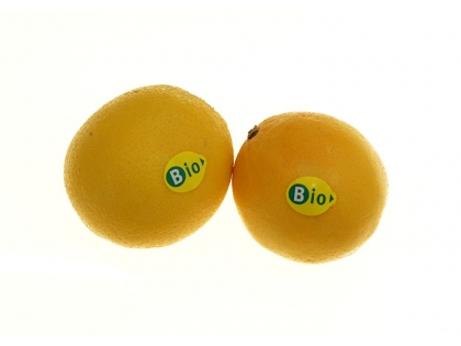Orangen Bio lose  BIO 10 kg KRT ES, 10 kg, Spanien, Klasse II