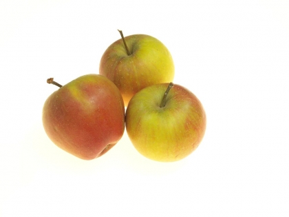Äpfel rot lose Deutsch Rubinette 10 kg Holzsteige  Rubinette