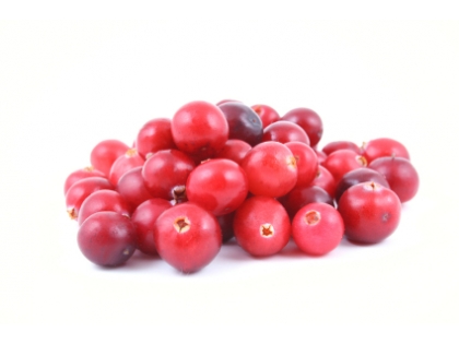 Cranberries gepackt  10x250g SCH KRT US, 10 x 250g, in Schale, USA