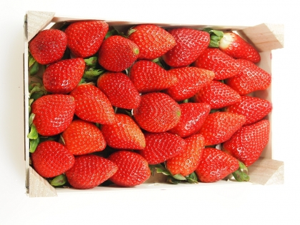 Erdbeeren 1kg gelegt  1 kg Holzsteige ES, 1 Kolli, Spanien, Klasse I