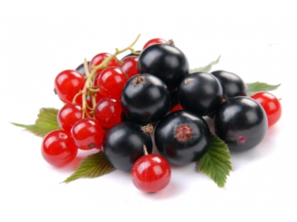 Johannisbeeren schwarz gepackt  10x500g SCH STG DE, 10 x 500g, in Schale, Deutschland, Klasse I
