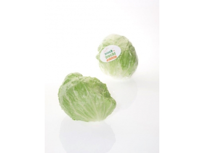 Eisbergsalat Frisch Frucht  10 STK EPGR DE, 10 Stück, Deutschland, Klasse I