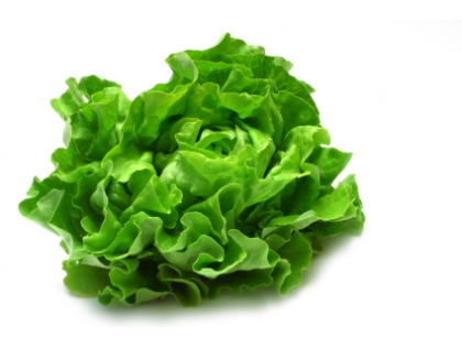 Novita  9 STK EPGR BAWÜRTT, 9 Stück, D-Baden-Württemberg, Klasse I