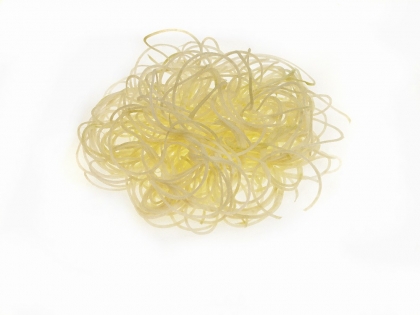 Kohlrabi div. Spaghetti 1 kg SCHALE DE Spaghetti, 1 kg, Deutschland