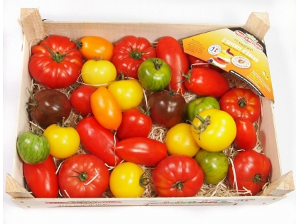 Tomaten div. Saveur de Antan 3,5 kg KRT FR Saveur de Antan, 3,5 kg, Frankreich, Klasse I