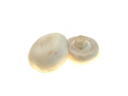 CHampignons weiss div. Riesen 2 kg KRT PL Riesen, 2 kg, Polen, Klasse I