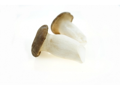 Pilze Kräuterseitlinge 1 kg KRB PL Kräuterseitlinge, 1 kg, Polen