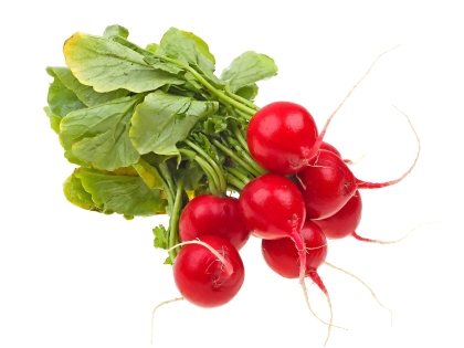 Radieschen div. Rot/Weiss 10 BND EPGR DE Rot/Weiss, 10 Bund, Deutschland