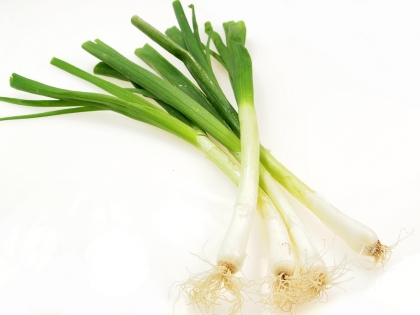 Lauchzwiebeln Bund  14 BND KRT EG, 14 Bund, Ägypten