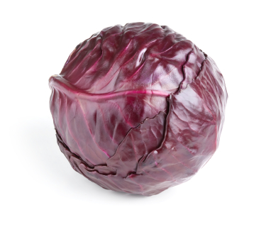 Gastroangebot KW6-7 Rotkohl