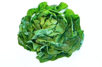 Gastroangebot KW19-20 Kopfsalat
