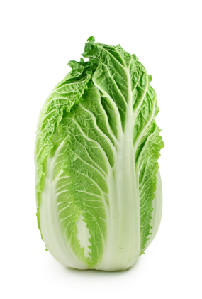 Gastroangebot KW43-44 Chinakohl