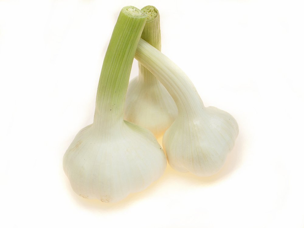 Knoblauch Angebot KW8-9 Knoblauch frisch