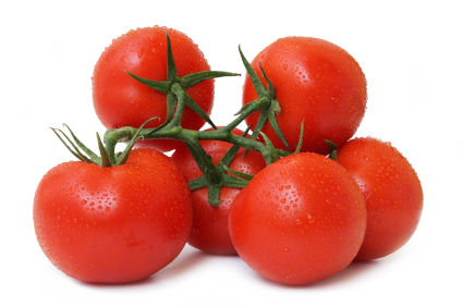 Strauchtomaten