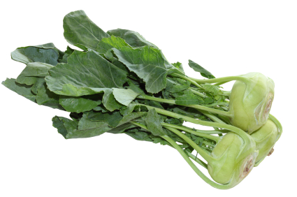 Wochenangebot KW 8-9 Kohlrabi