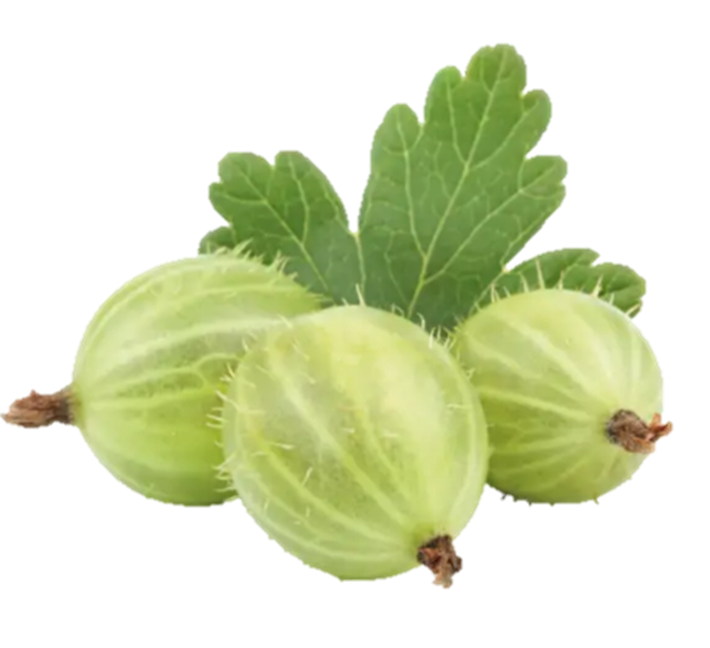 Stachelbeeren grün