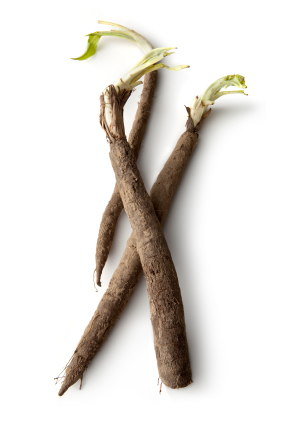 Wurzelangebot KW2-3 Schwarzwurzeln gepackt