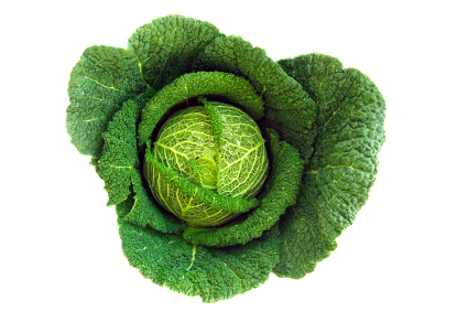 Wochenangebot KW47-48 Wirsing