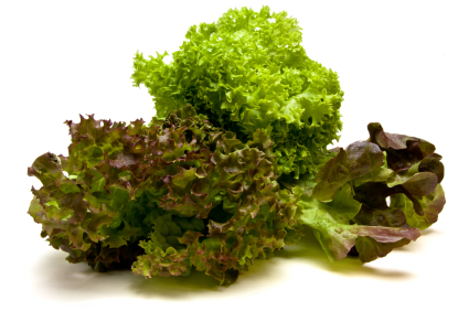 Gastroangebot KW4-5 Mixsalat